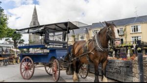 Killarney jaunting car, a traditional horse-drawn carriage in County Kerry